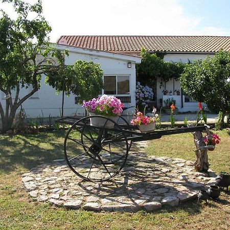 El Condado Casa Rural Fuentes de Onoro Εξωτερικό φωτογραφία